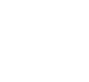 You Fiber
